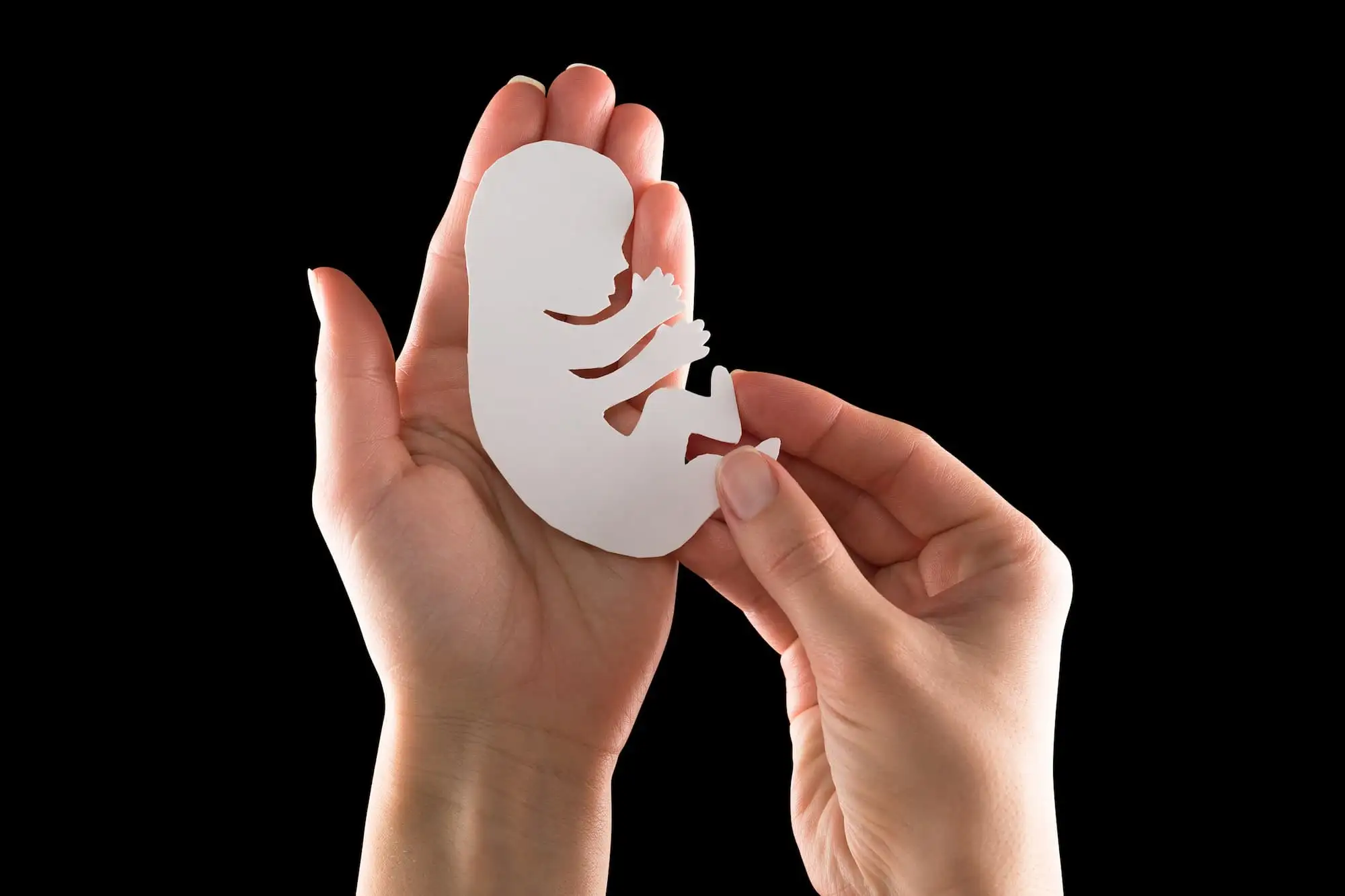 Pregnancy