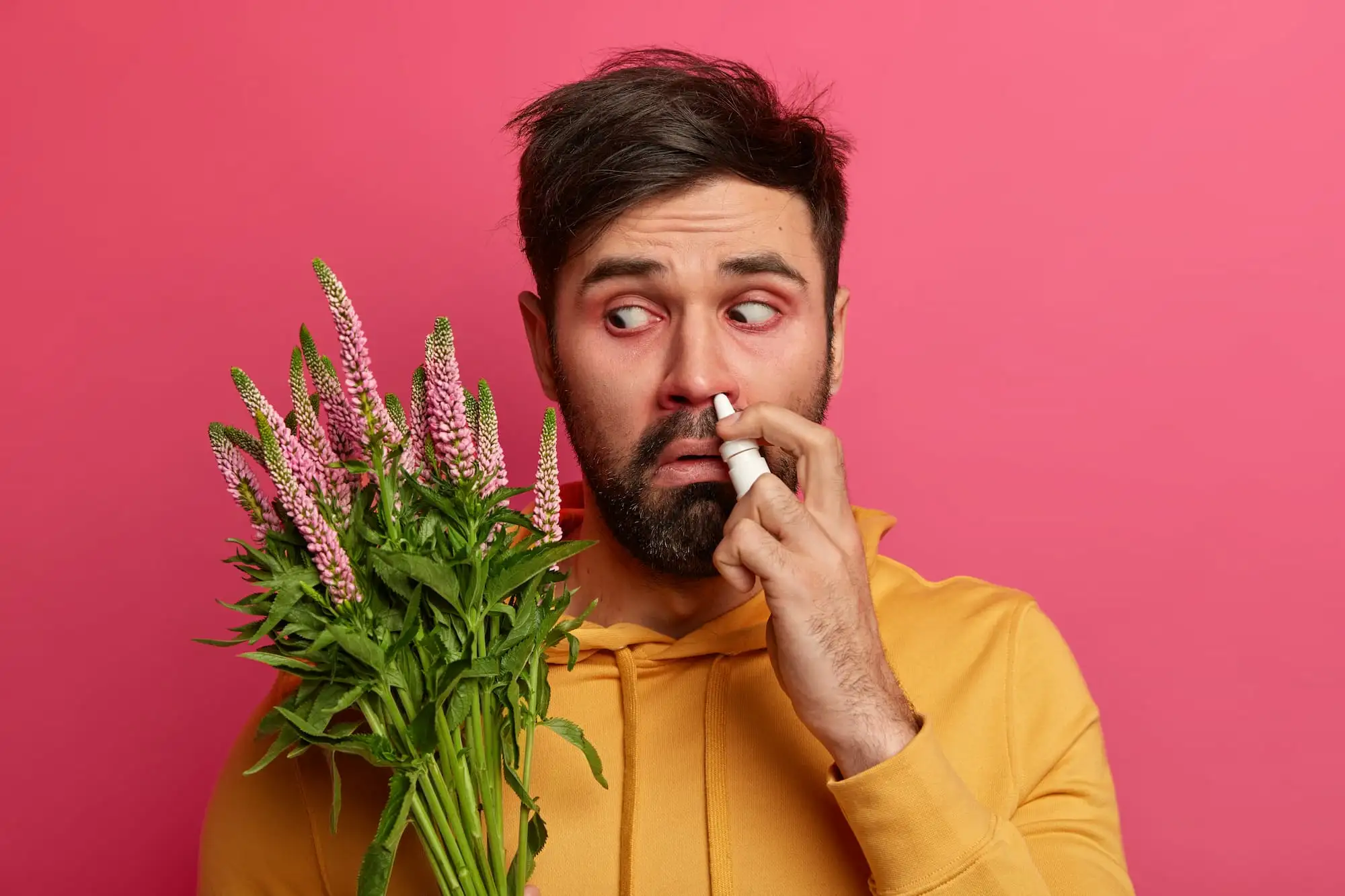 Artemisia pollinosis