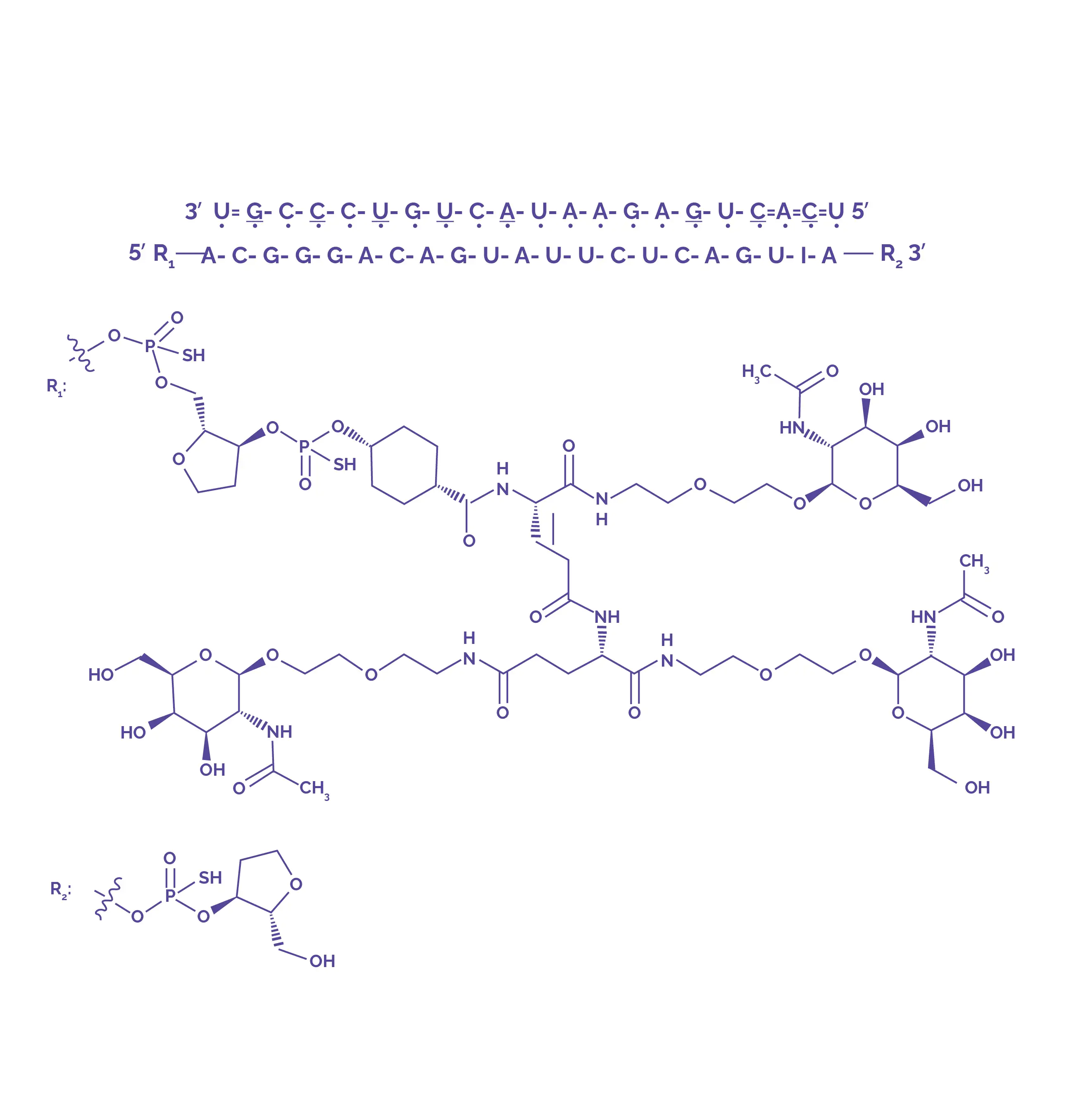 Familial chylomicronemia syndrome