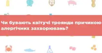 алергія