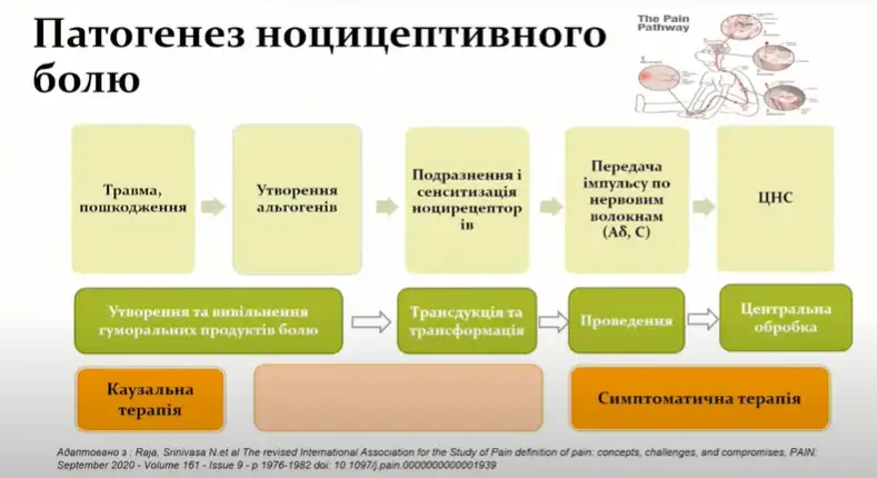 найз