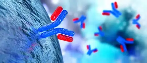 H. pylori антибіотики